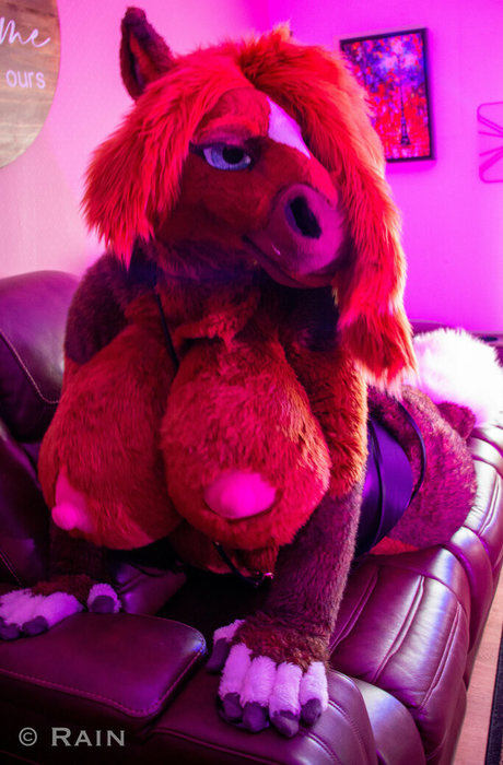 rain horsie best pornstar gallery