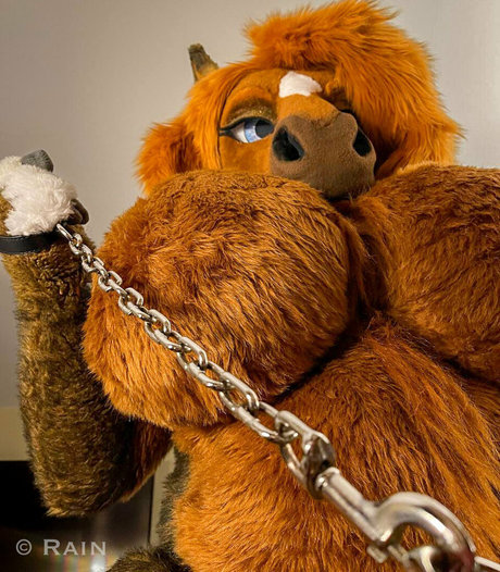 rain horsie pornstar top img