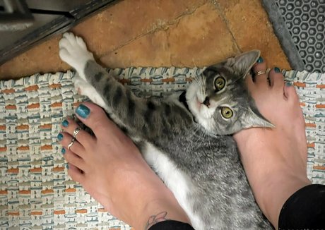 princessttoes adult model photo