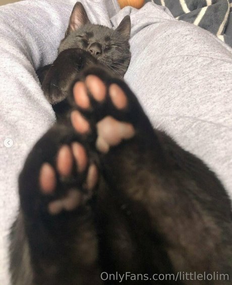 littlelolim best model archive