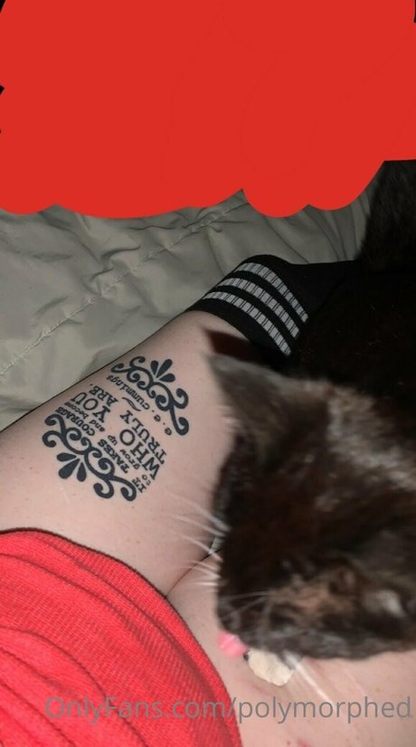 Polymorphed porn star pictures