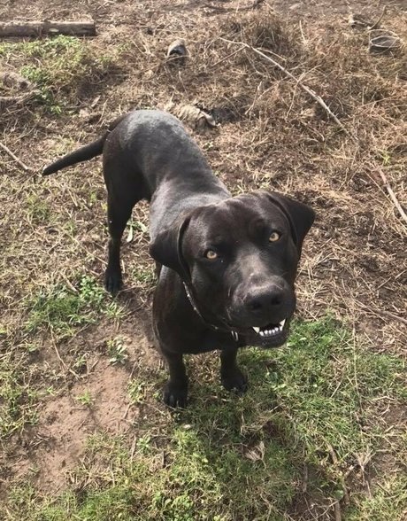 naughtyvettech xxx model galleries