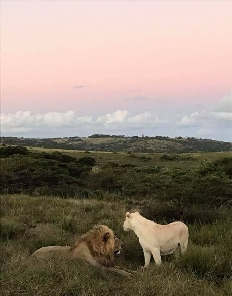 naughtyvettech star pornographic pictures