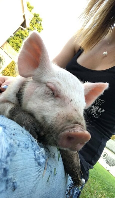 naughtyvettech hot model pic