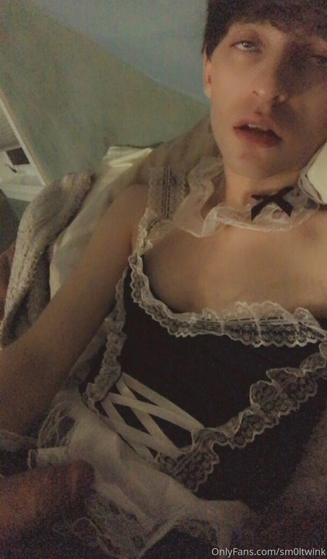 sm0ltwink high quality model archive