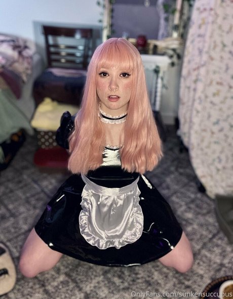 sunkensuccubus best model picture