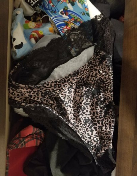 wiolet star adult archive