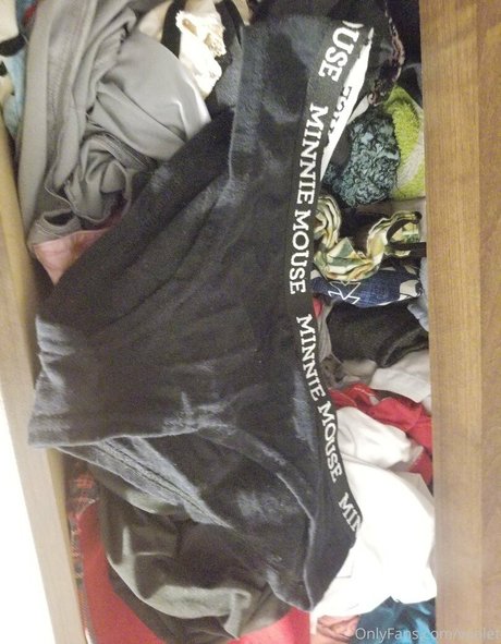 wiolet star best pic