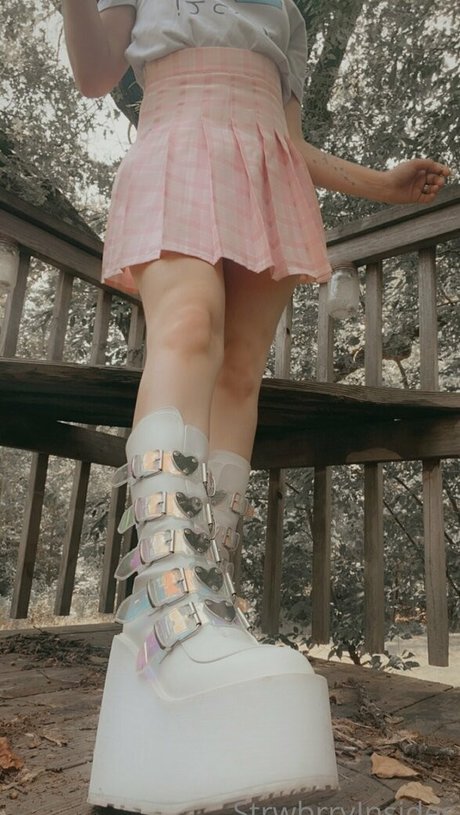 viinusflytrap star top images