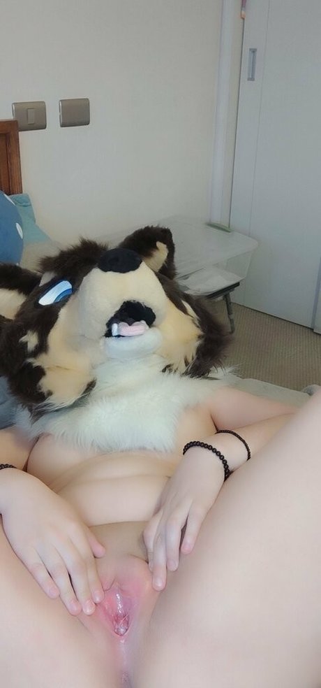 naughtycolliead star top img