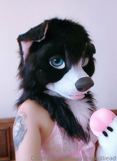 naughtycolliead pornstar sex images