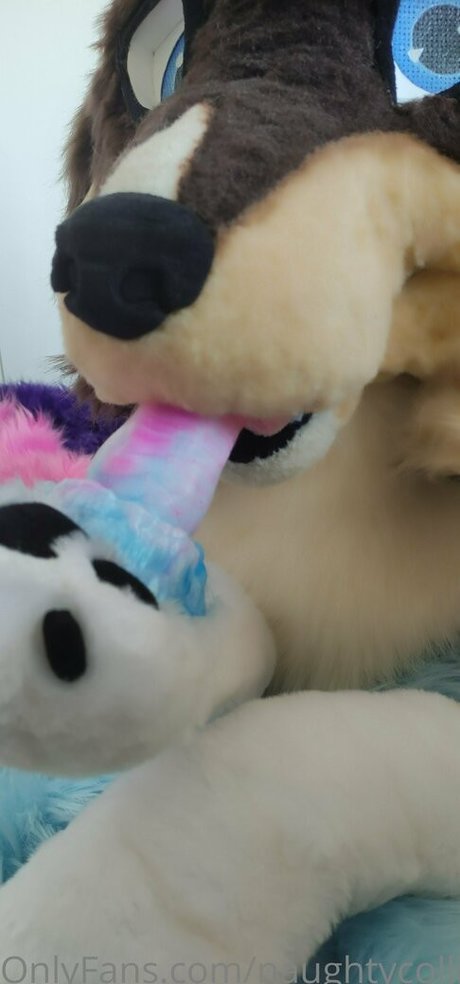 naughtycolliead star exclusive pics