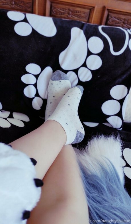 naughtycolliead sexy model pictures