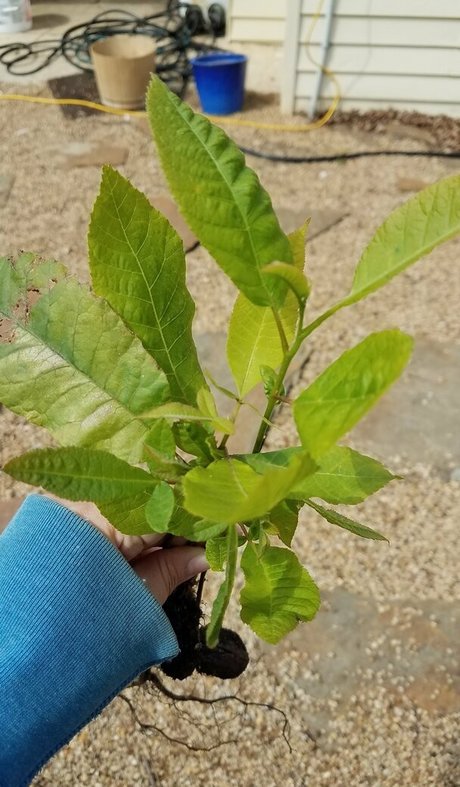 driftinggem nude model pictures