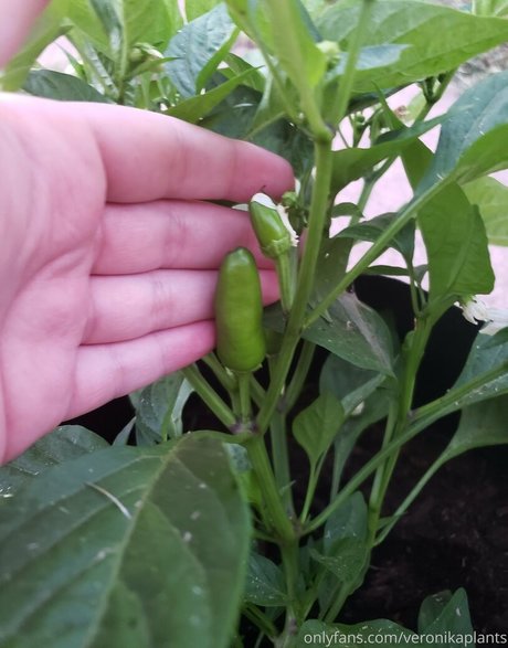 veronikaplants model beautiful img