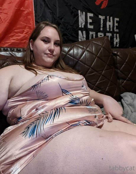 tabby cat95 hd pornstar pictures