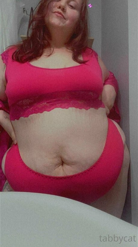 tabby cat95 pretty star photos