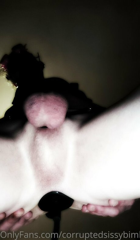 corruptedsissybimbodoll pornographic model image