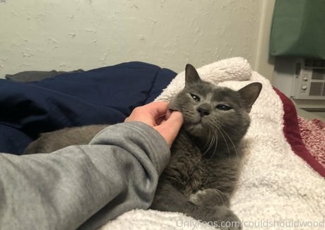 couldshouldwood model erotic photo