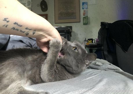 couldshouldwood xxx model photos