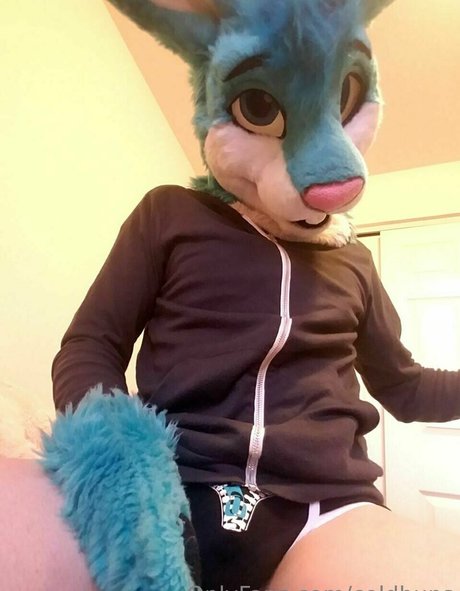 coldbuns pornstar top archive