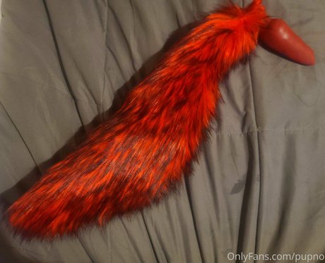 Kodi pup nudes actress img