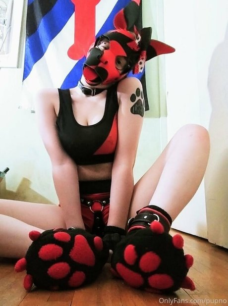 Kodi pup porn actress img