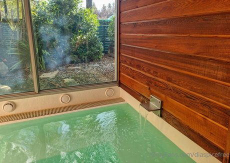 diaspicefree nude model pics