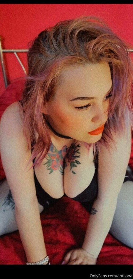 antilopa nude pornstar photos