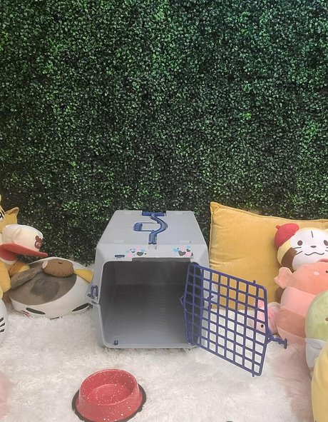 peppermavis xxx pornstar img