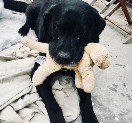 Dommmi hd model galleries