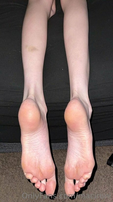 macironi perfect star archive