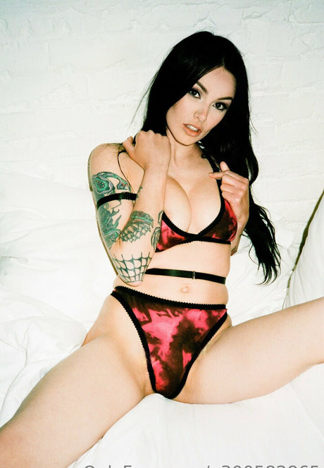 vikkiblowsie2 beautiful pornstar image