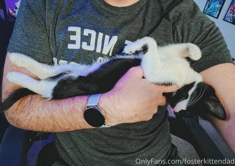 fosterkittendad nice model img