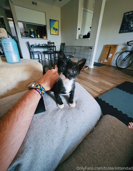 fosterkittendad erotic pornstar galleries