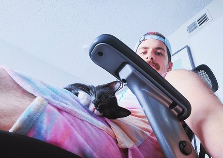 fosterkittendad model free image