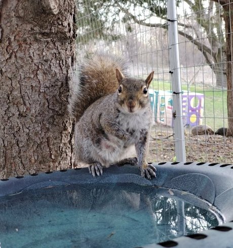 mikaylarainesfans pornstar hd gallery