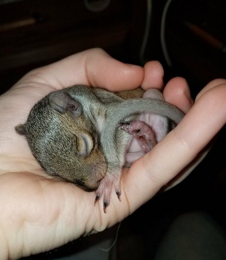 mikaylarainesfans pornstar beautiful galleries