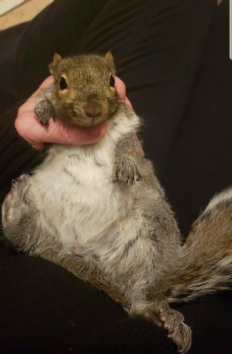 mikaylarainesfans xxx star photo