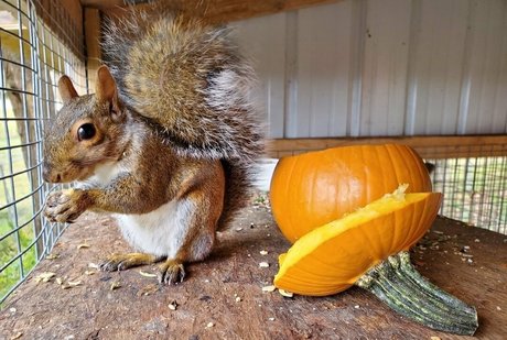 mikaylarainesfans naked pornstar images