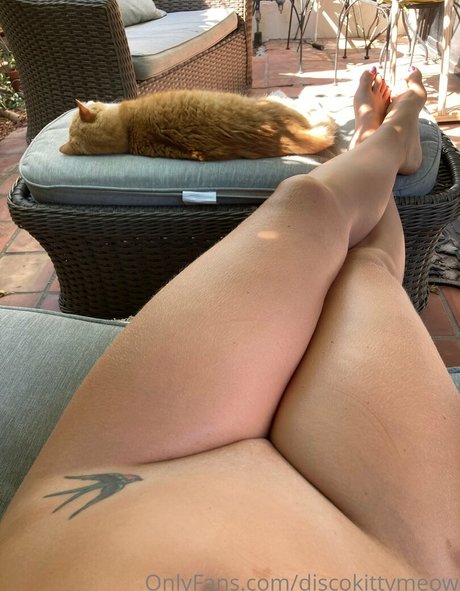discokittymeow model pornographic galleries