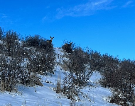 audreybelletv model porn photos