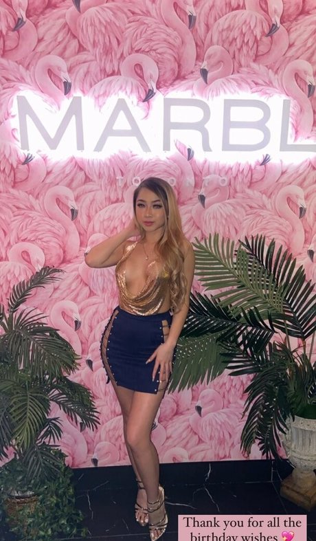 Lysa Joanna Chan pornstar high quality gallery