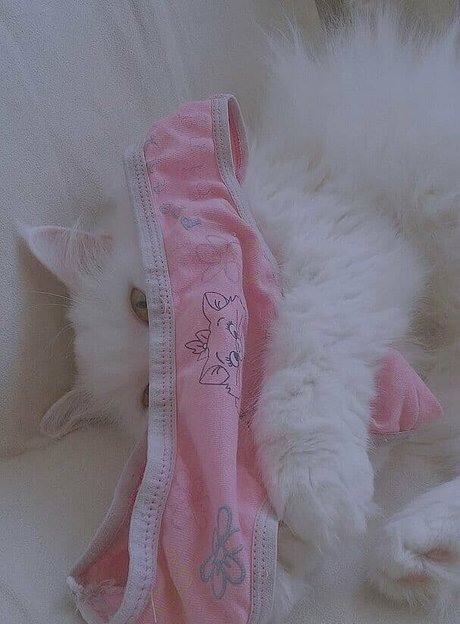 cutekatrin pornstar perfect images