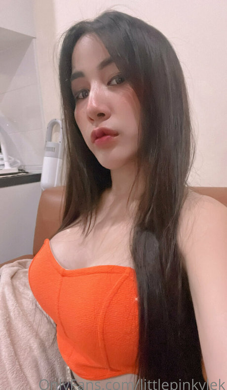 littlepinkylek model erotic picture