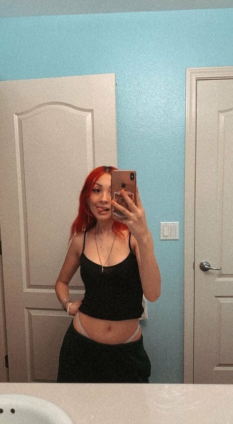 bbykangarou star high quality img