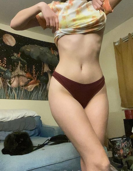 puckou star free galleries