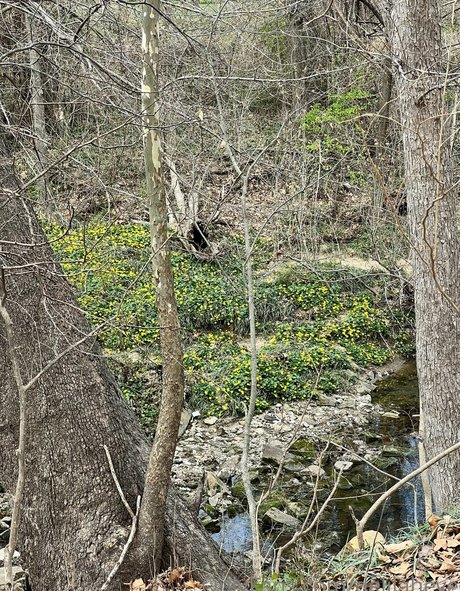 delilaheve model pretty image