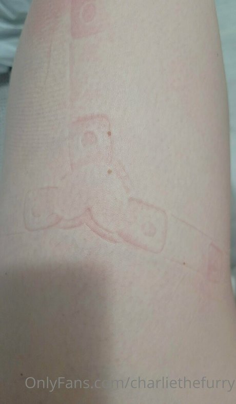 charliethefurry star galleries