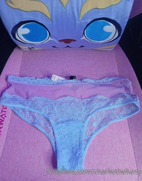 charliethefurry model nice pictures